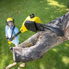 Trusted Cudahy, CA Tree Removal and Landscaping Services Experts